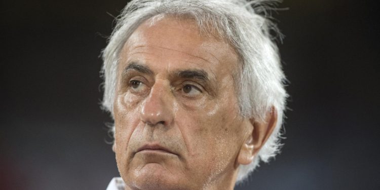 Sportske novosti – Halilhodžić o novom igraču Dinama: ‘Izvanredan dečko. Vodio bih ga i na Svjetsko prvenstvo’