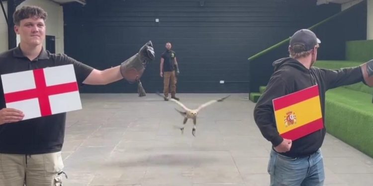 Sportske novosti – Ženka orla predvidjela pobjednika Eura, još nijednom nije pogriješila: ‘Predviđa čak i vremensku prognozu’