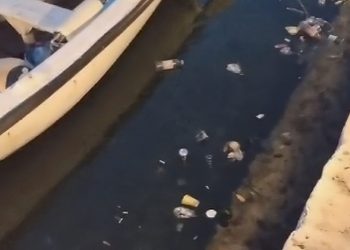 Što to sve plovi u Jadranskome moru? Donosimo prizore iz omiljene turističke destinacije u Dalmaciji