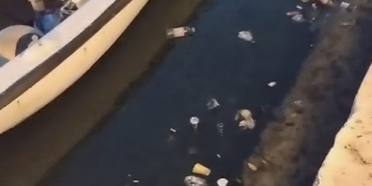 Što to sve plovi u Jadranskome moru? Donosimo prizore iz omiljene turističke destinacije u Dalmaciji