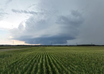STIGLO IZ SLOVENIJE Međimurje zahvatila tuča, neka mjesta ostala bez struje. Istramet piše o ledenim gromadama od 10 cm! | NACIONAL.HR