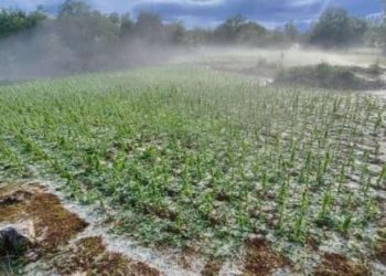 TUČA IZ LIPNJA Stiže pomoć domaćinstvima iz Gruda i Širokog Brijega koje je najviše pogodilo olujno nevrijeme