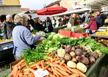 Teški prizori otkrili tragediju hrvatskog sela: ‘Plakala sam neku večer’