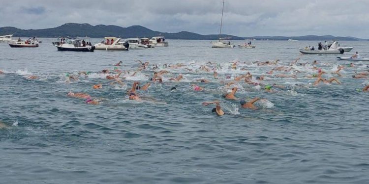 Traju prijave na plivački maraton Preko-Zadar!