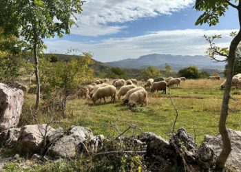 U BiH 500 PRAZNIH SELA Imamo potencijal za obnovu napuštenih mjesta, trebamo se ugledati na susjedstvo i hobitske kuće