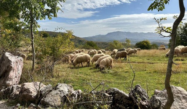 U BiH 500 PRAZNIH SELA Imamo potencijal za obnovu napuštenih mjesta, trebamo se ugledati na susjedstvo i hobitske kuće