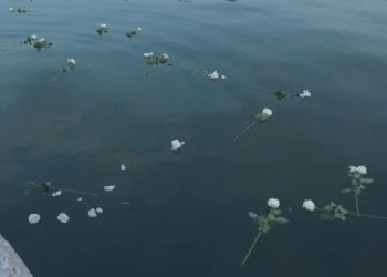 U povodu 29. godišnjice genocida u Srebrenici u more bačeno 29 ruža