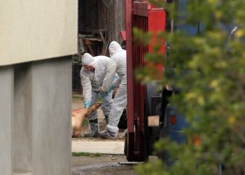 U susjedstvu potvrđeni slučajevi svinjske kuge: ‘Poduzmite mjere i spriječite širenje’