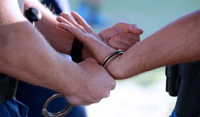 UHIĆEN JEDAN OD DOLKIĆA Policija ga našla kako zalijeva konoplju