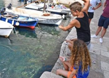 UMJESTO MOBITELA Mali dubrovački ribolovci osvajaju srca i love ribu!