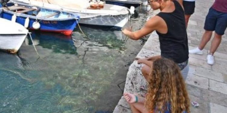 UMJESTO MOBITELA Mali dubrovački ribolovci osvajaju srca i love ribu!