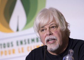 Uhićen suosnivač Greenpeacea — RT World News