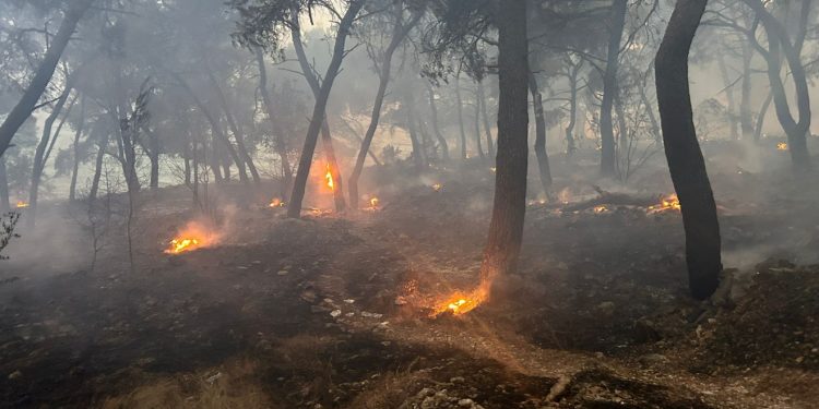 Uhvatili muškarca i uhitili zbog požara kod Trogira: Pogledajte što je ostalo iza njega