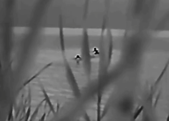 Ukrajinski vojnici preplivali rijeku Dnjepar kako bi se predali Rusiji (VIDEO) — RT Rusija i bivši Sovjetski Savez