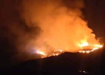 VATRENA STIHIJA Gori kod Trogira