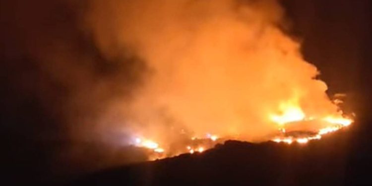 VATRENA STIHIJA Gori kod Trogira