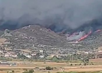 VATRENA STIHIJA U GRČKOJ Otok Evia doslovno gori već dva dana!