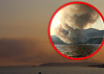 VIDEO Ogromni požar u blizini turističkog naselja: “U pomoć je stigla i pomorska policija…”