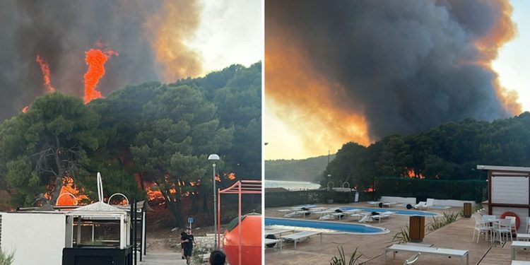 VIDEO Ovako izgleda veliki požar u Segetu. Brojni vatrogasci su na terenu, pomažu im kanaderi