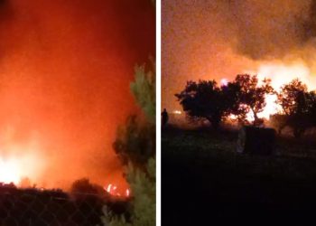 VIDEO Požar u Rudinama gase jake vatrogasne snage: “Manje je plamena, ali od dima se ne može disati”