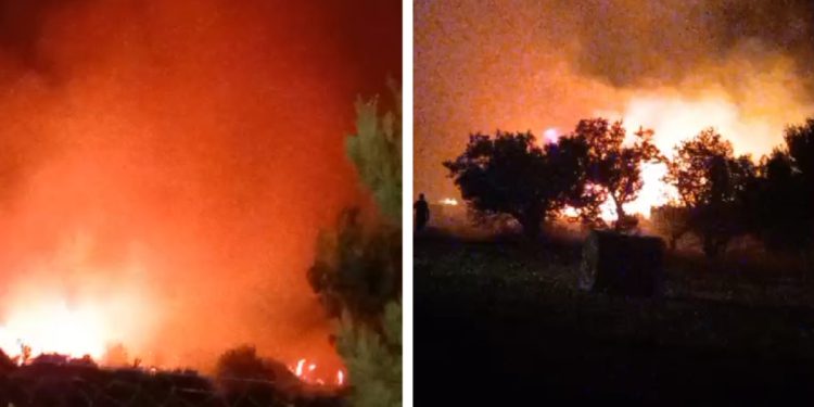 VIDEO Požar u Rudinama gase jake vatrogasne snage: “Manje je plamena, ali od dima se ne može disati”