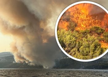 VIDEO Veliki požar u Segetu, vatrogasci su na terenu. Stiže pomoć iz Splita…