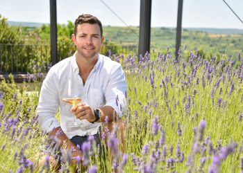 VINARIJA CLAI ‘Proizvodimo vino onako kako se proizvodilo dok se Julije Cezar šetao Istrom’ | NACIONAL.HR