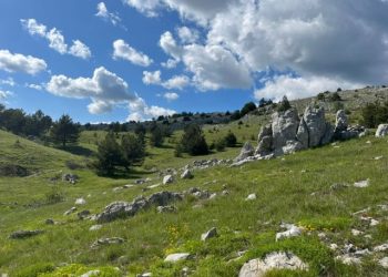 VJETROPARK POKLEČANI Ugrožen jedan od najvećih projekata vjetroenergije na zapadnom Balkanu