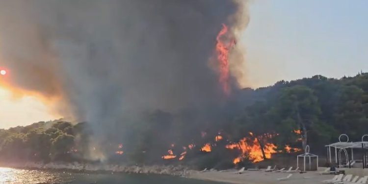 Vatrogasni zapovjednik otkrio detalje požara kod Trogira: “Piromani sada najviše djeluju, požar se najbrže širi…”