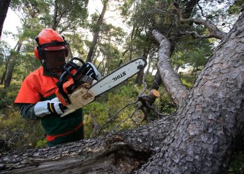 Zaposleni na ovim radnim mjestima mogu ranije u mirovinu: Evo na što sve imaju pravo