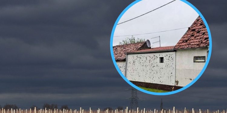 Zbrajaju se posljedice nezapamćene oluje u Slavoniji: ‘Sve nam je uništeno, kako ćemo živjeti’