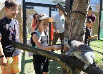 Zmija mi je oko ruke! A meni paličnjak na glavi