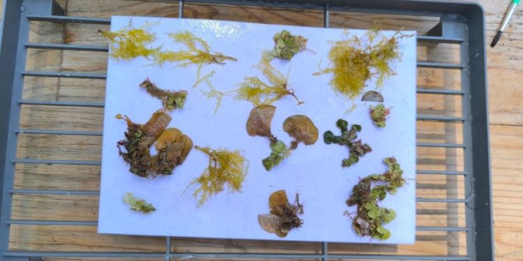 Znanstveno-edukacijske radionice za djecu ljetnog kampa Poreč