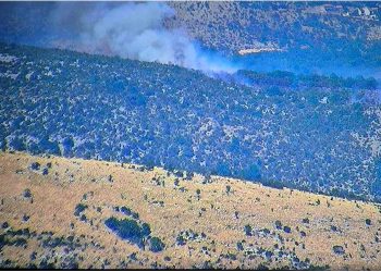 Zračne snage su na terenu. Planulo kod Trogira, hitno na mjestu požarišta pohitali vatrogasci s kaštelanskog područja