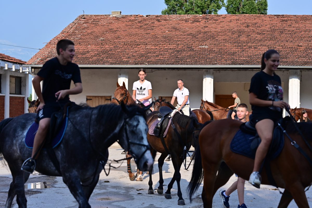 alka pripreme roko 10