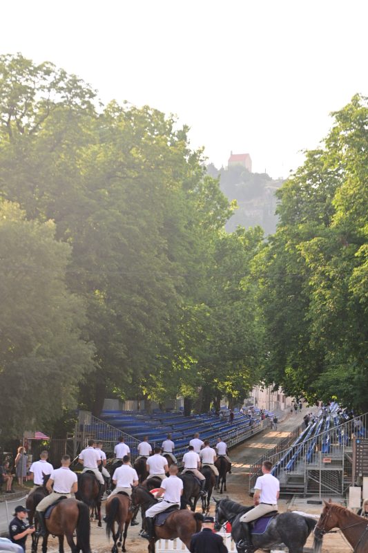 alka pripreme roko 12