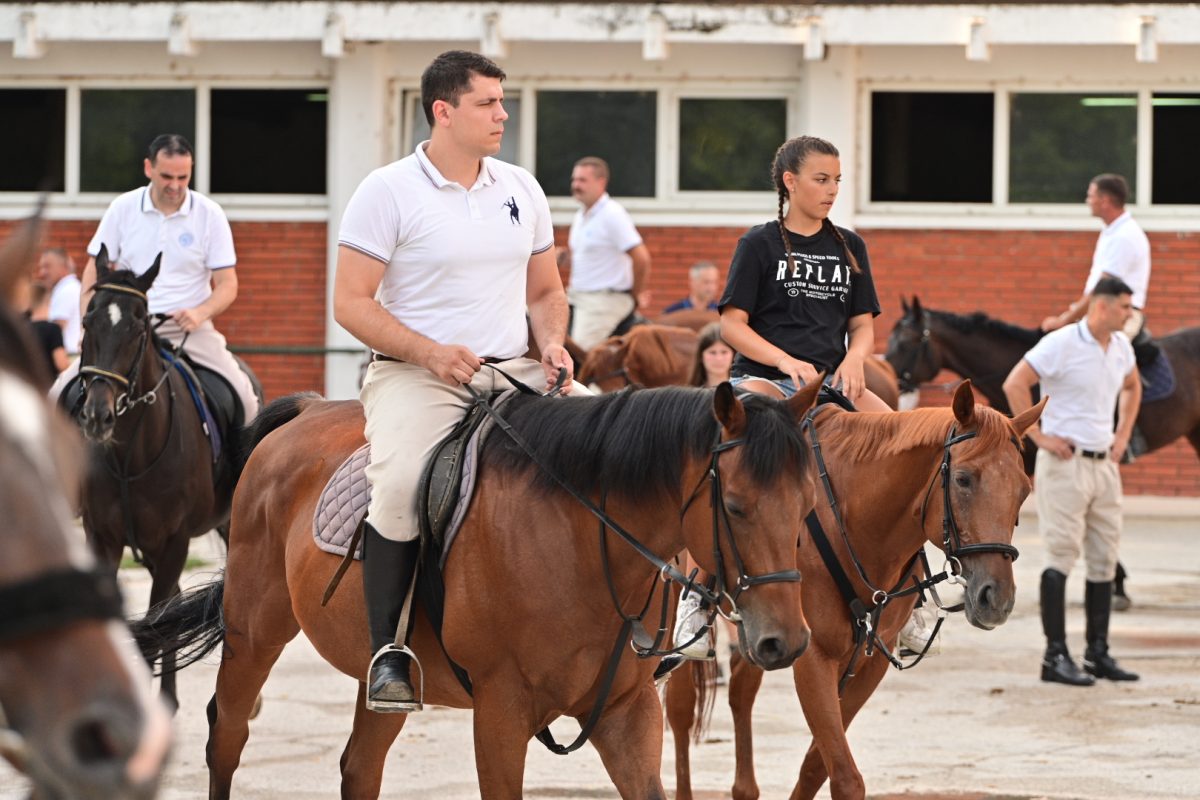 alka pripreme roko 13