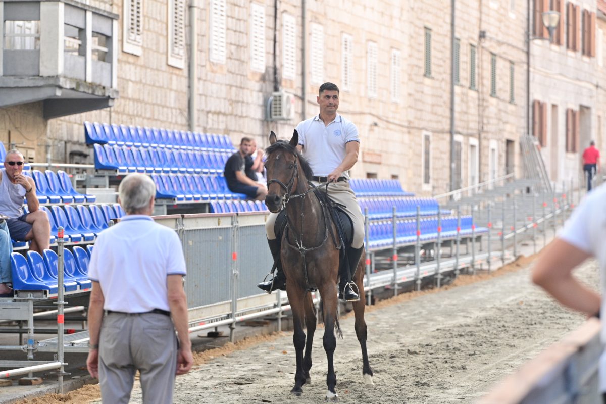 alka pripreme roko 21