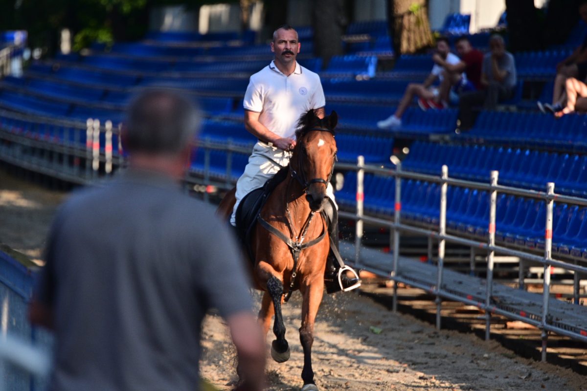 alka pripreme roko 22