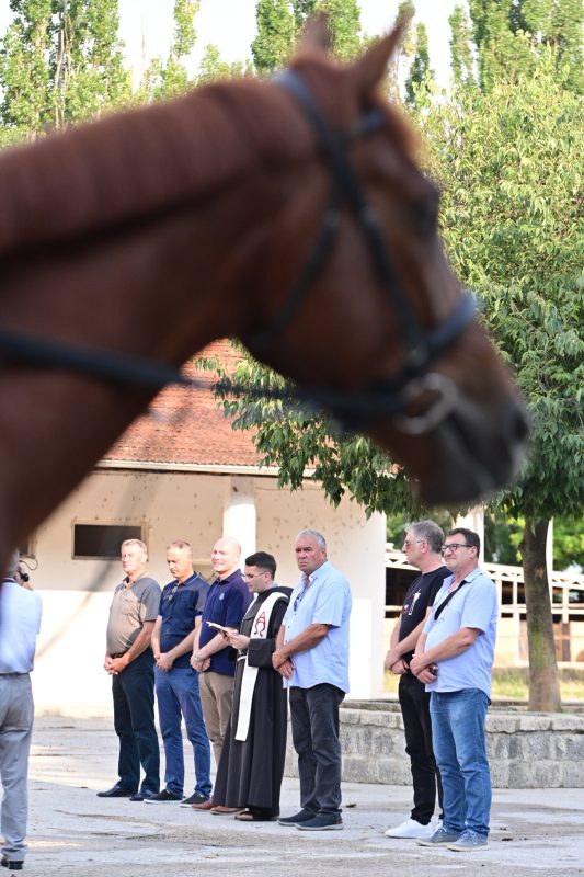 alka pripreme roko 22