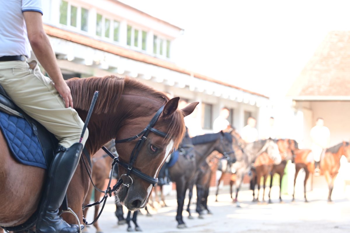 alka pripreme roko 25