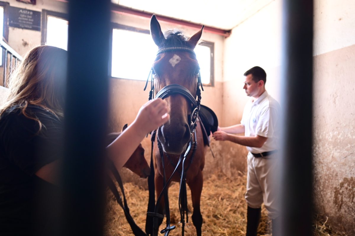 alka pripreme roko 26