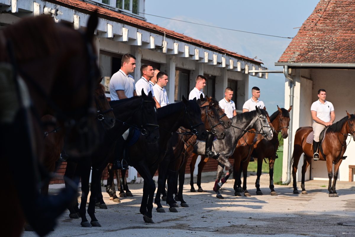 alka pripreme roko 26