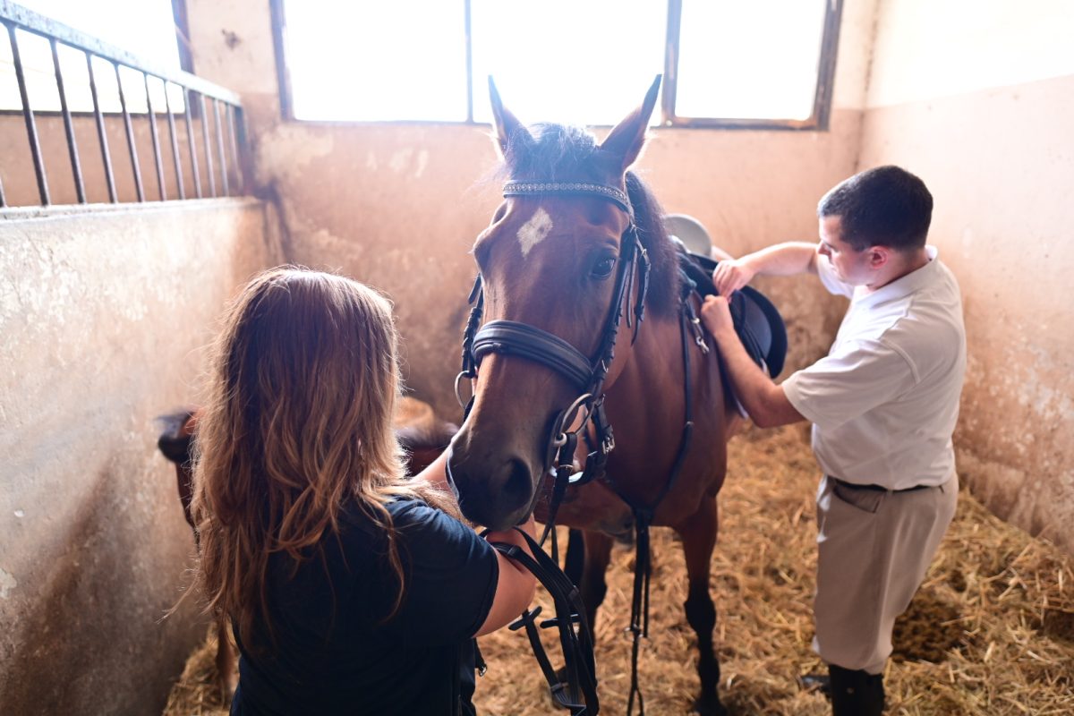 alka pripreme roko 27