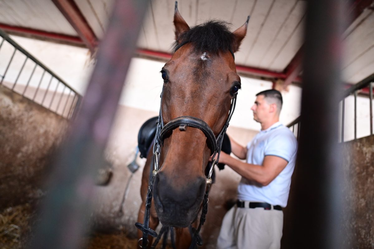 alka pripreme roko 28