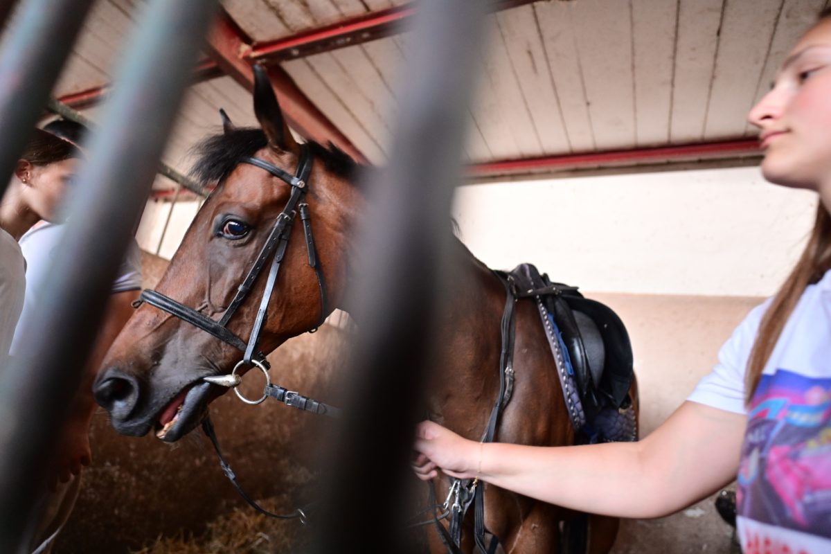 alka pripreme roko 29