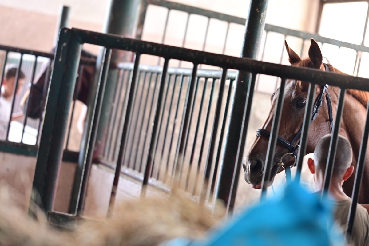 alka pripreme roko 3