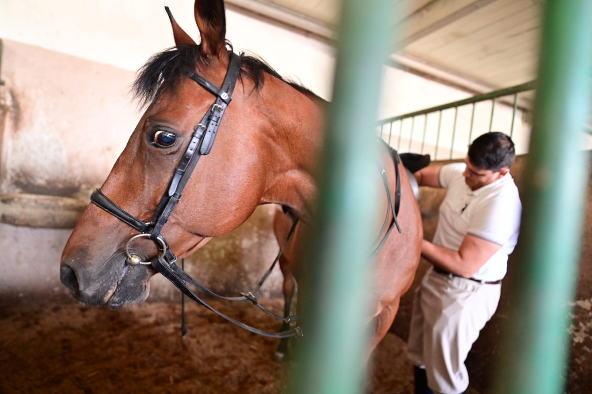 alka pripreme roko 32