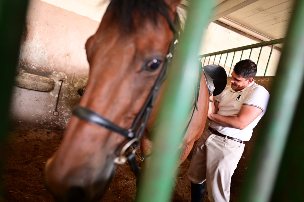 alka pripreme roko 33