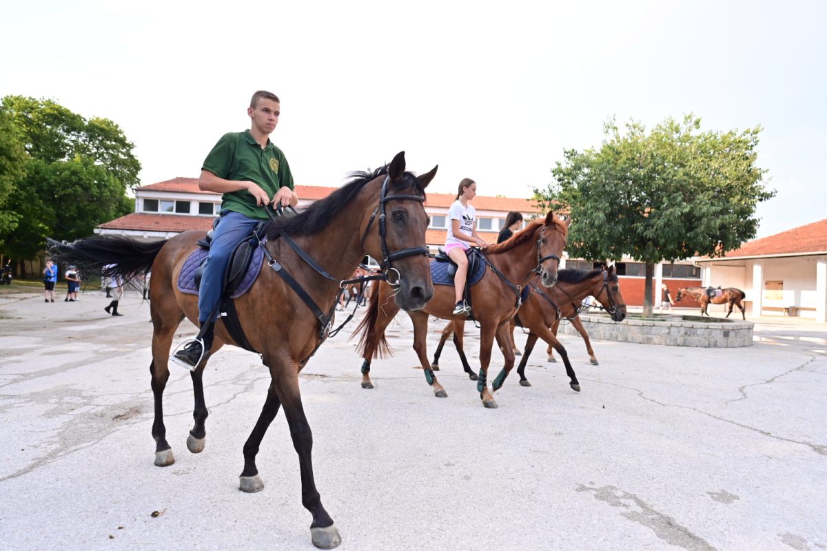 alka pripreme roko 35